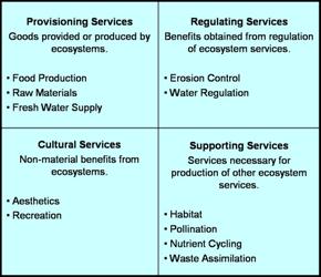 ecosystem services